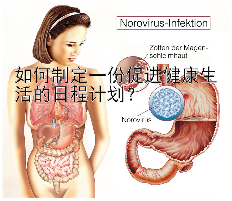 如何制定一份促进健康生活的日程计划？