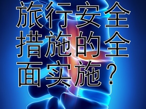 如何确保旅行安全措施的全面实施？