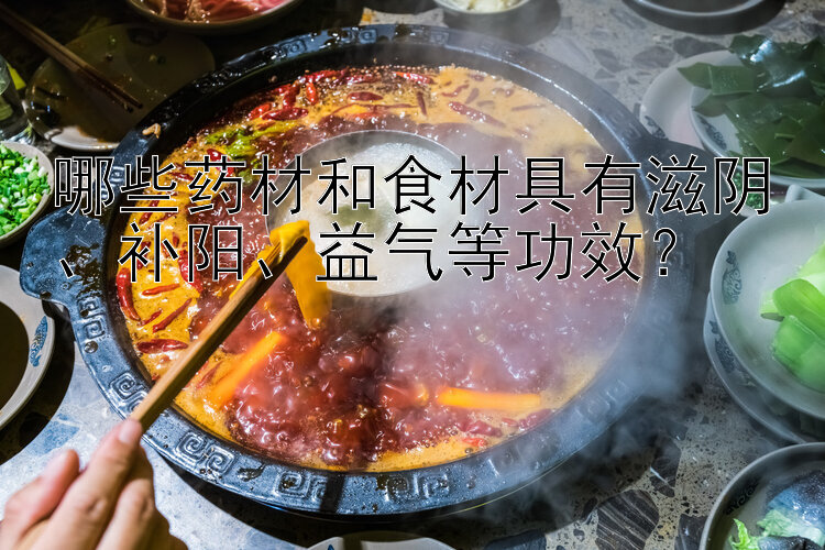 哪些药材和食材具有滋阴、补阳、益气等功效？