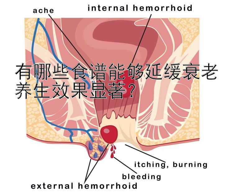 有哪些食谱能够延缓衰老养生效果显著？