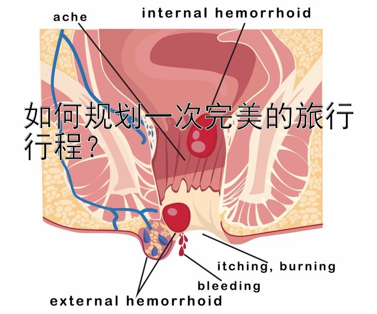 如何规划一次完美的旅行行程？