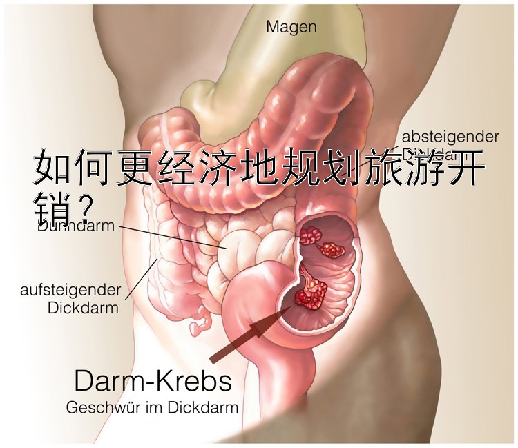 如何更经济地规划旅游开销？