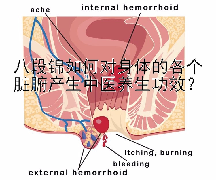 八段锦如何对身体的各个脏腑产生中医养生功效？