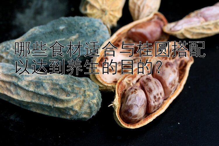 哪些食材适合与桂圆搭配以达到养生的目的？