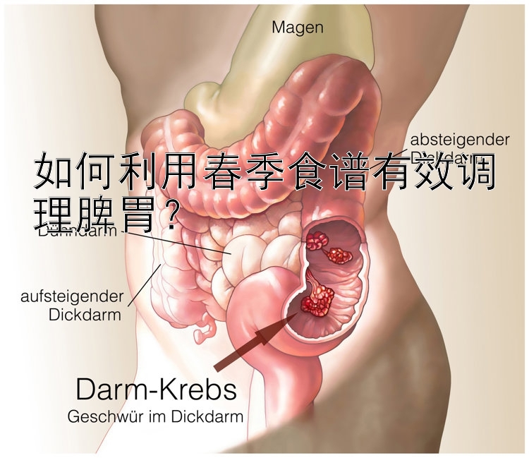 如何利用春季食谱有效调理脾胃？