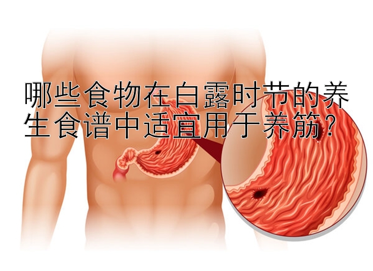 哪些食物在白露时节的养生食谱中适宜用于养筋？