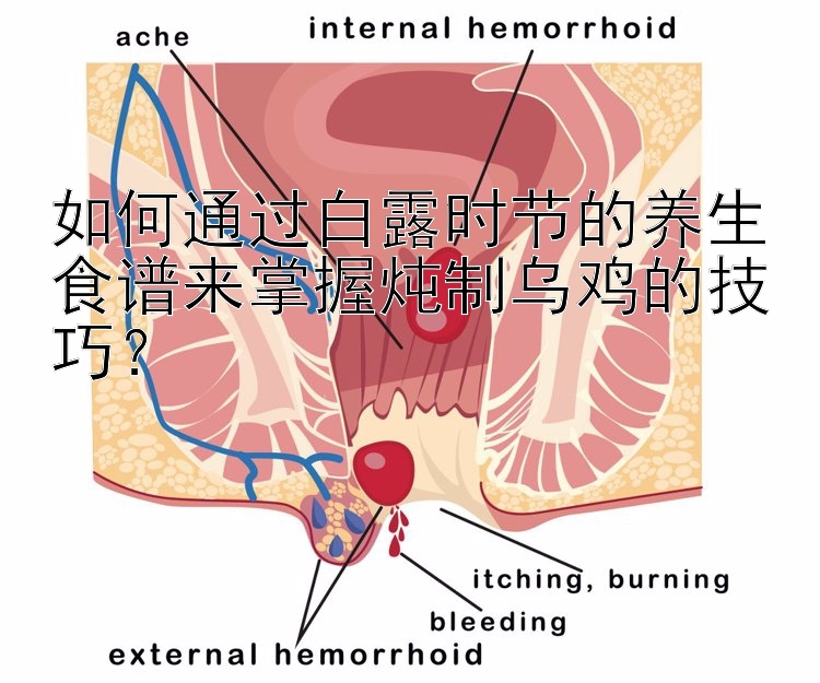 如何通过白露时节的养生食谱来掌握炖制乌鸡的技巧？