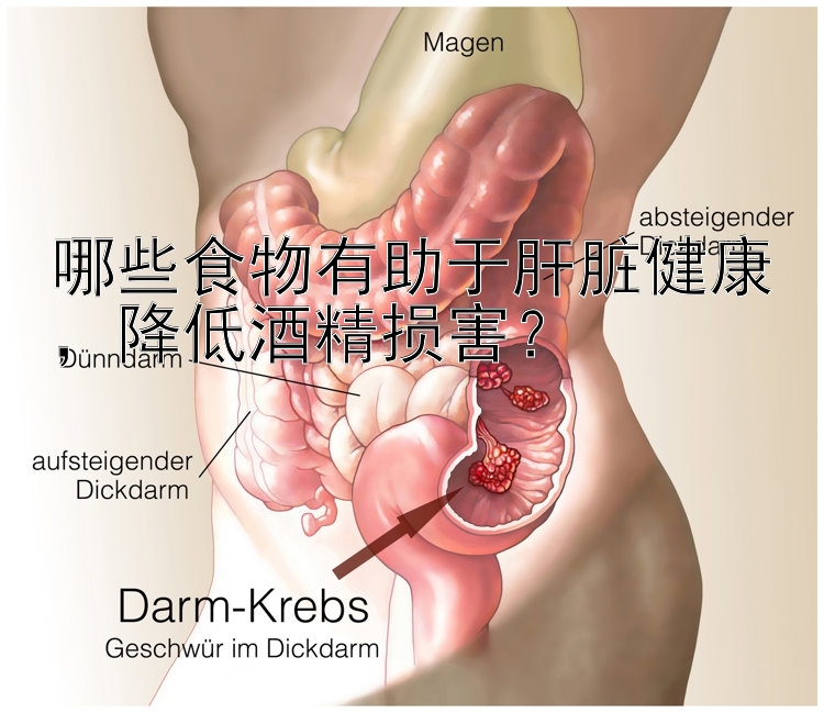 哪些食物有助于肝脏健康，降低酒精损害？