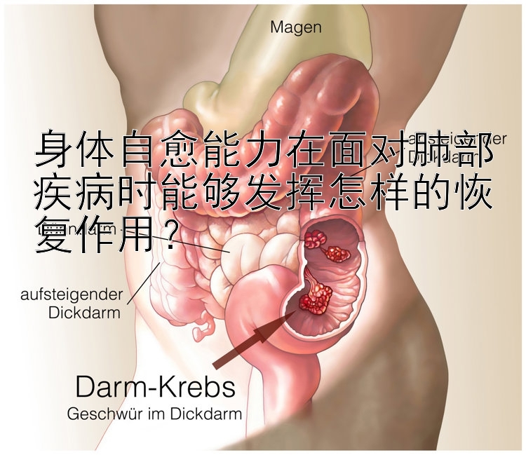 身体自愈能力在面对肺部疾病时能够发挥怎样的恢复作用？