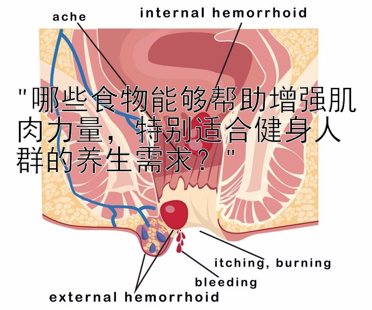 哪些食物能够帮助增强肌肉力量，特别适合健身人群的养生需求？