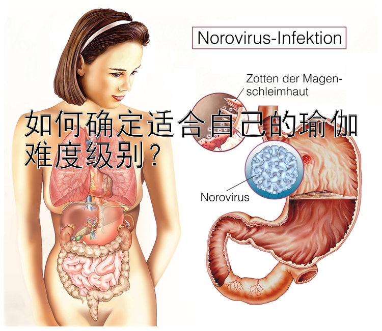 如何确定适合自己的瑜伽难度级别？